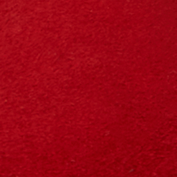 Festive Red