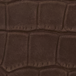 Chestnut Brown