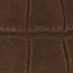 Chestnut Brown