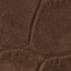 Chestnut Brown