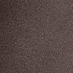 Chestnut Brown