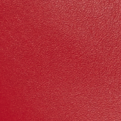 Festive Red