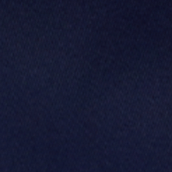 Cinture equestri/Blu navy