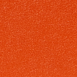 Orange Lily