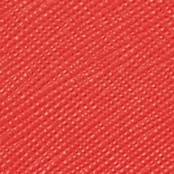 Bright Vermillion