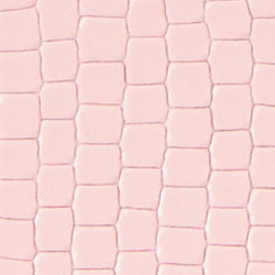 Tea Rose