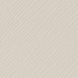 Soft White/Cornfl Blue