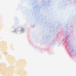 Cream/Multi