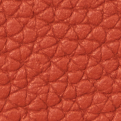 Pebbled Crossbody Turn-Lock Tech Case
