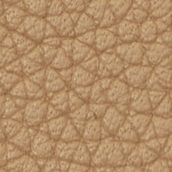 Pebbled Crossbody Turn-Lock Tech Case
