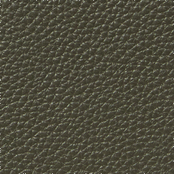 Dark Olive