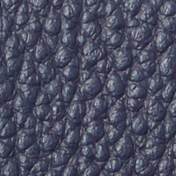Edles Navy