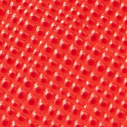 Strahlendes Zinnoberrot