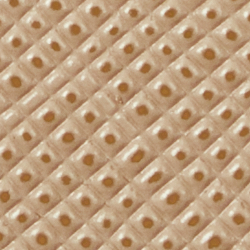 Sand Dune