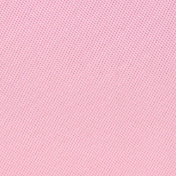 Mauve rose