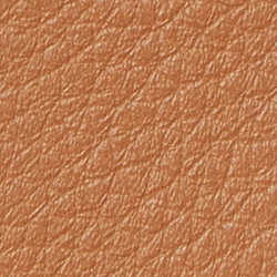 Classic Caramel