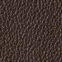 Chestnut Brown