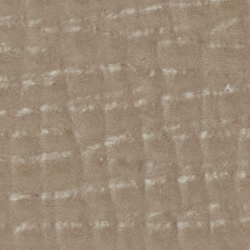 Brun taupe