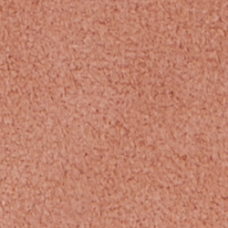 Rosa Siena