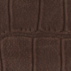 Chestnut Brown