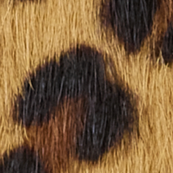 Leopardo moderno/casta&ntilde;o