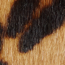 Modern Leopard/Chestnut