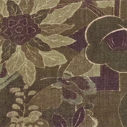 Sycamore multi