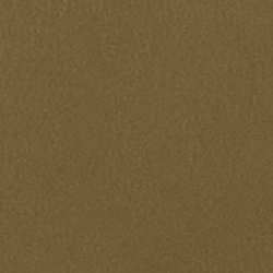 Dusty Sage