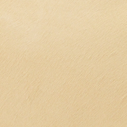 Icon-Sandbraun