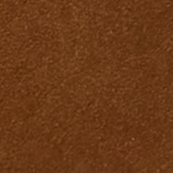 Nutmeg