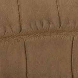 Dark Taupe