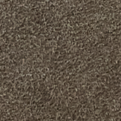 Dark Taupe