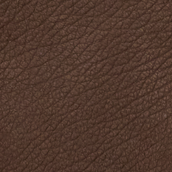Luggage Brown