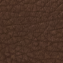 Luggage Brown