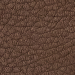 Luggage Brown