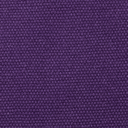 College Purple
