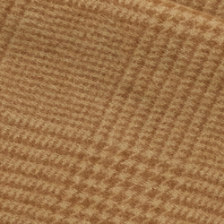 Camel Check