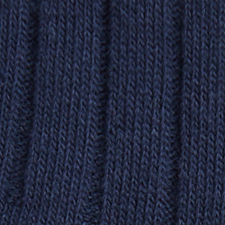 Cruise Navy