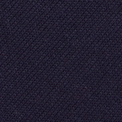 Cruise Navy
