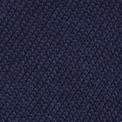 Cruise Navy