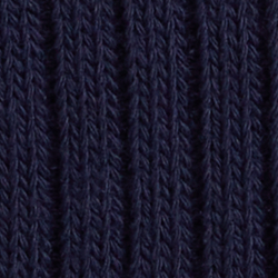 Cruise Navy