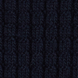 Cruise Navy