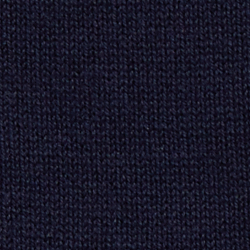 Cruise Navy