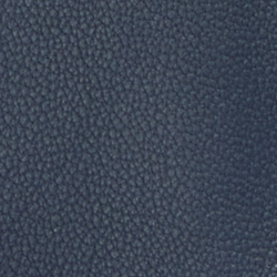 Refined Navy