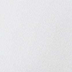 White 4th of July Bear