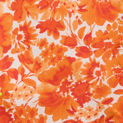 Orange Lily