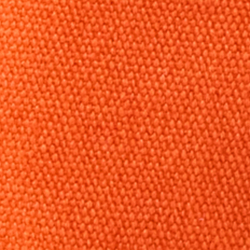 Orange Lily