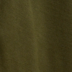 Olive Grove