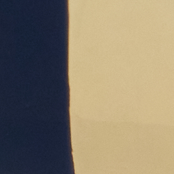 Gold/Navy
