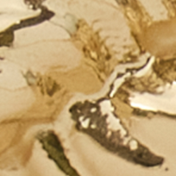 Gold/White